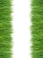 Similar image 1031720