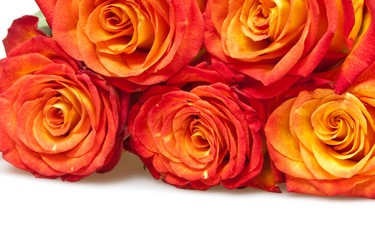 Similar image 1031728