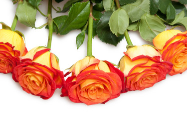 Similar image 1031729