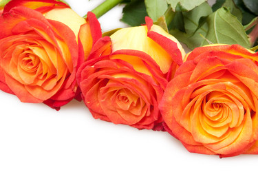 Similar image 1031730