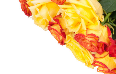 Similar image 1031733