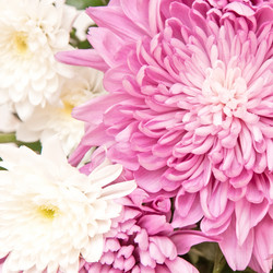 Similar image 1031734