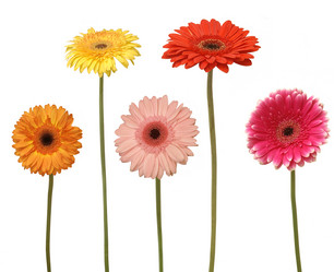 Similar image 1031735