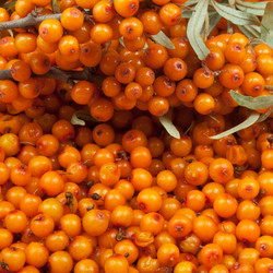 Similar image 1031737