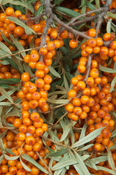 Similar image 1031738