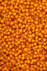 Similar image 1031739