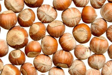 Similar image 1031740