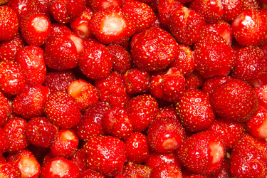 Similar image 1031908