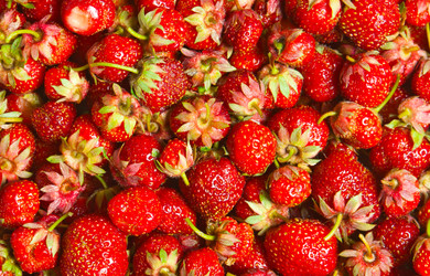 Similar image 1031910