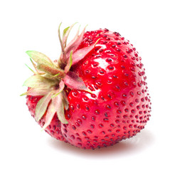 Similar image 1031911