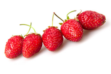 Similar image 1031913