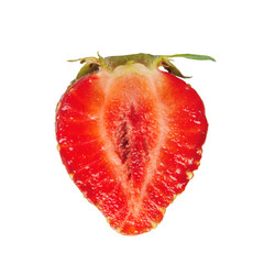 Similar image 1031917