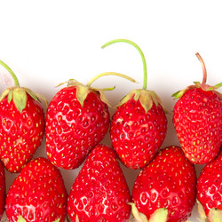 Similar image 1031922