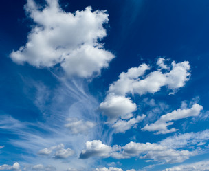 Similar image 1031931