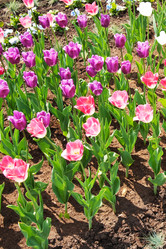 Similar image 1031934