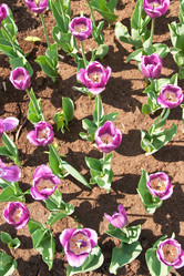 Similar image 1031936