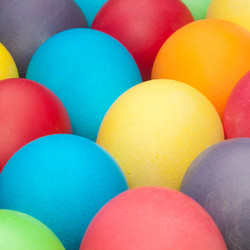 Similar image 1031938