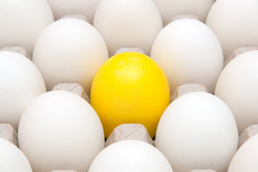 Similar image 1031944