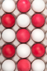 Similar image 1031945