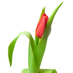 Similar image 1031949