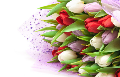 Similar image 1031950