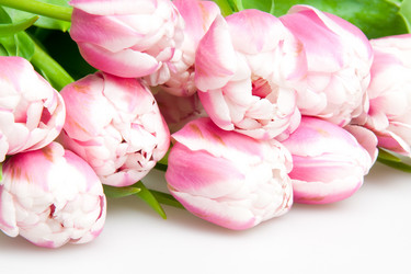 Similar image 1031953