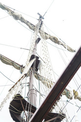 Similar image 1032095