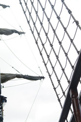 Similar image 1032108