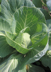 Similar image 1032261