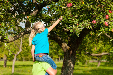 Similar image 1032264