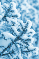 Similar image 1032265