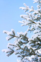 Similar image 1032268