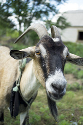 Similar image 1032313