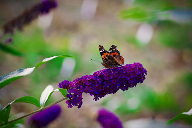 Similar image 1032341