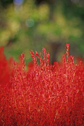 Similar image 1032349