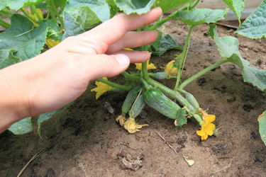 Similar image 1032351