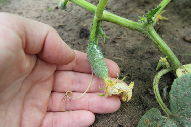 Similar image 1032353