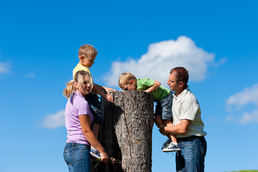 Similar image 1032642