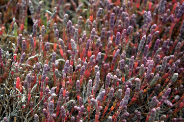 Similar image 1032644