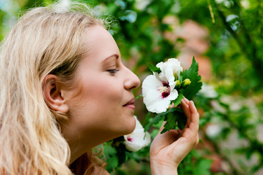 Similar image 1032844