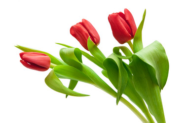 Similar image 1032901