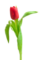 Similar image 1032908