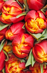 Similar image 1032913