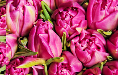 Similar image 1032926