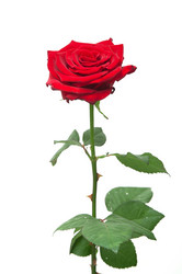 Similar image 1032929