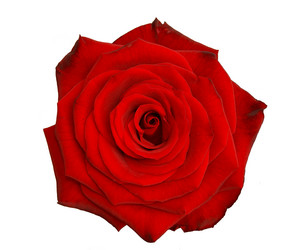 Similar image 1032932