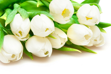 Similar image 1032939