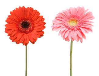 Similar image 1032965