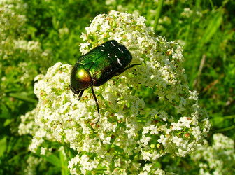 Similar image 1032967