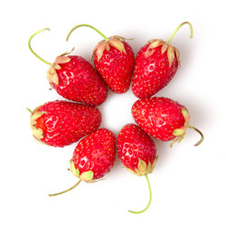 Similar image 1032974